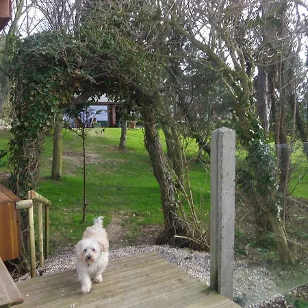 La Cabane Des Mouettes *